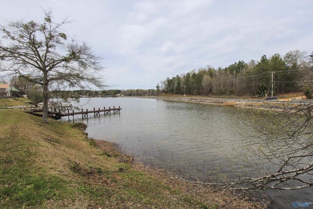 15 Mohawk Trl, Ohatchee, AL 36271