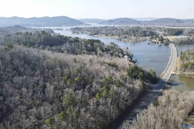 15 Mohawk Trl, Ohatchee, AL 36271