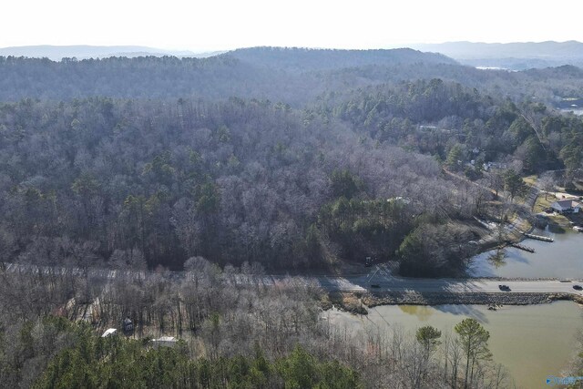 15 Mohawk Trl, Ohatchee, AL 36271