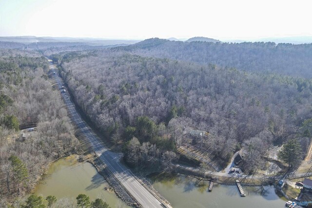 15 Mohawk Trl, Ohatchee, AL 36271