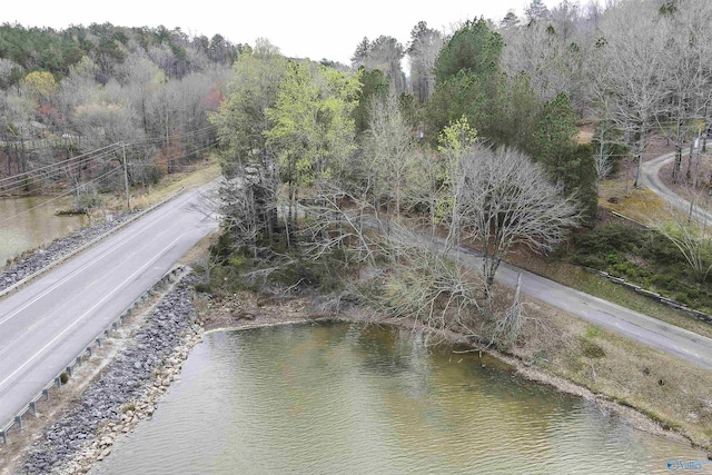 15 Mohawk Trl, Ohatchee, AL 36271