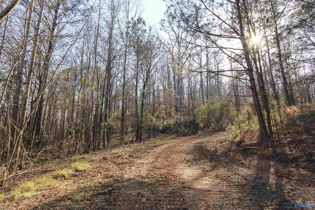 15 Mohawk Trl, Ohatchee, AL 36271