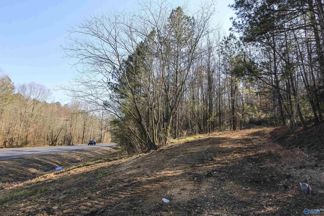 15 Mohawk Trl, Ohatchee, AL 36271