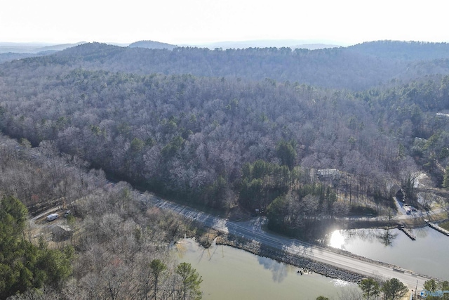 15 Mohawk Trl, Ohatchee, AL 36271