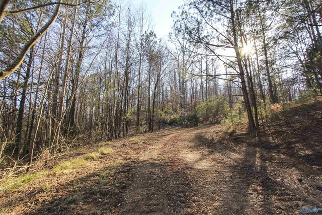 15 Mohawk Trl, Ohatchee, AL 36271