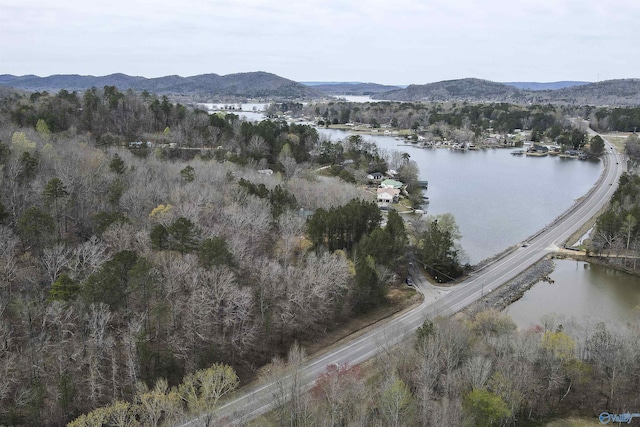 15 Mohawk Trl, Ohatchee, AL 36271