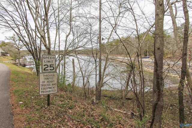 15 Mohawk Trl, Ohatchee, AL 36271