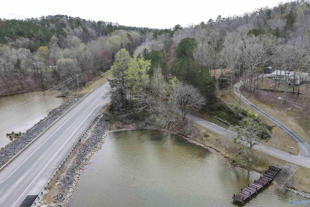 15 Mohawk Trl, Ohatchee, AL 36271