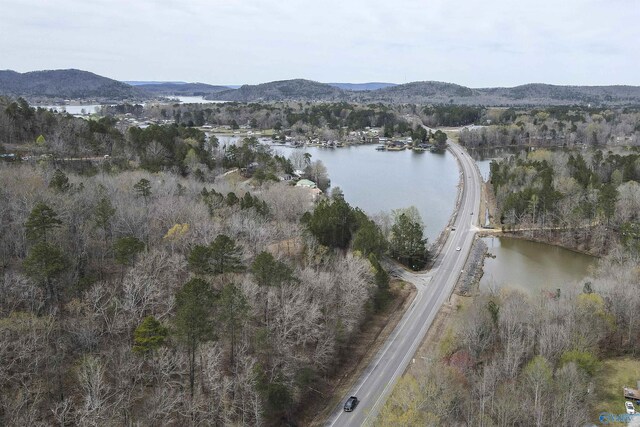 15 Mohawk Trl, Ohatchee, AL 36271