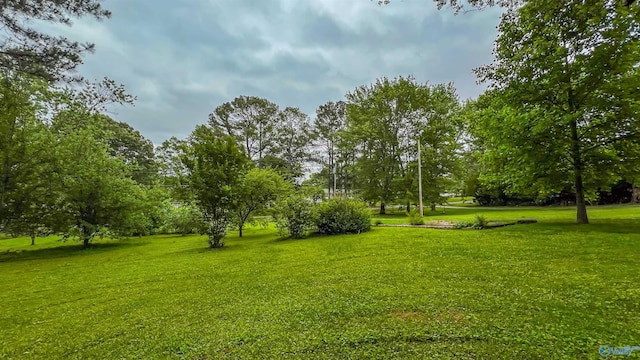 view of property's community with a lawn