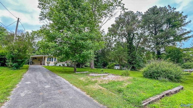 view of front of house featuring a carport and a front yard