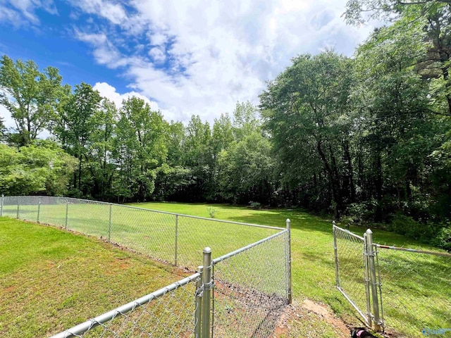 view of yard featuring a gate