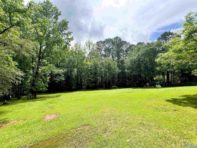 view of grassy yard