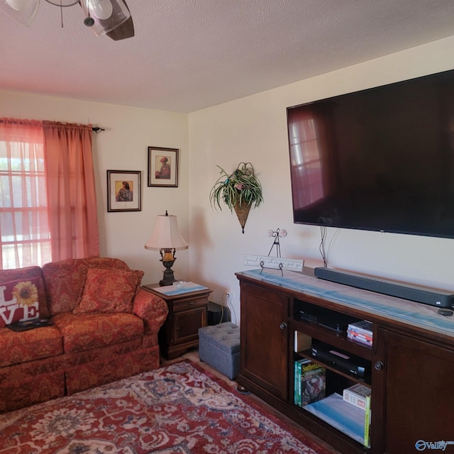 living room featuring a textured ceiling