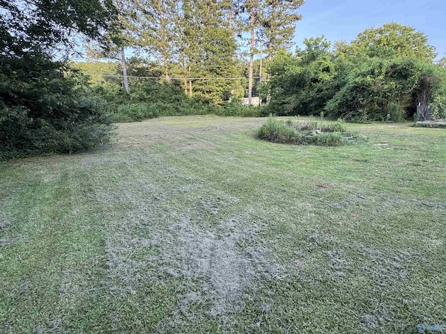 5509 Glade Rd, Anniston, AL 36206 - view of grassy yard