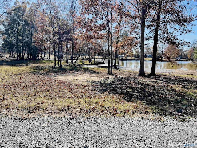 1,2,67, County Road 182, Cedar Bluff AL, 35959 land for sale