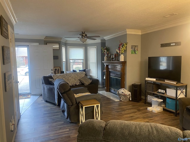 living room with dark wood-type flooring, ceiling fan, ornamental molding, and a textured ceiling