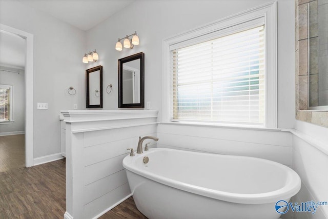 bathroom with a bathtub, wood-type flooring, and vanity