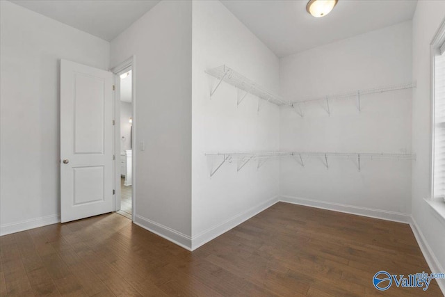 walk in closet with dark wood-type flooring