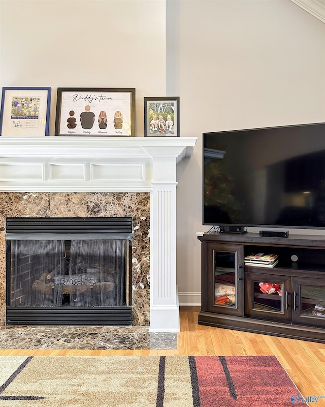 room details featuring a premium fireplace, crown molding, and wood-type flooring