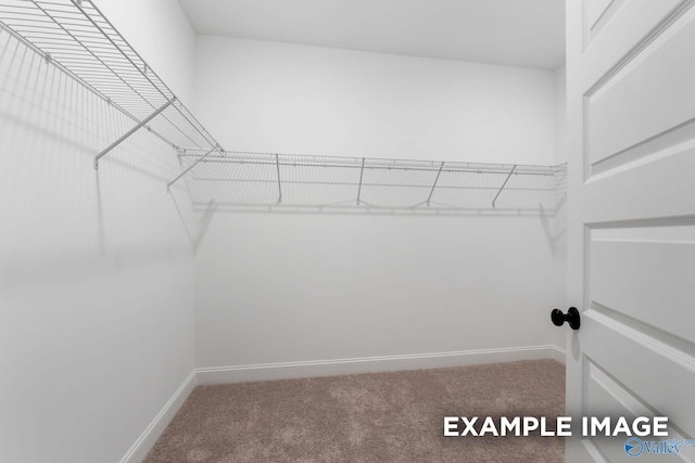 walk in closet featuring carpet