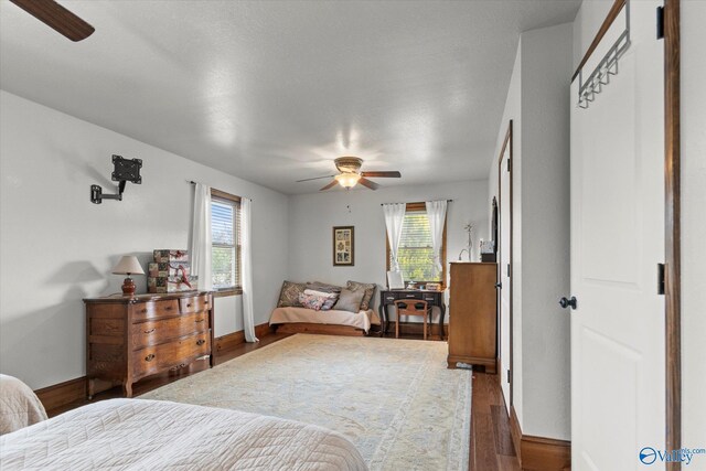 1707 Byron Rd, Scottsboro, AL 35769 - bedroom with wood finished floors, multiple windows, and ceiling fan