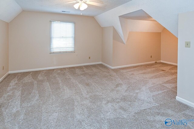 additional living space featuring light carpet, a textured ceiling, and lofted ceiling