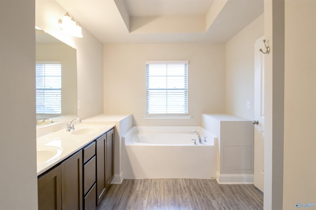 bathroom featuring a healthy amount of sunlight, hardwood / wood-style floors, vanity, and a washtub