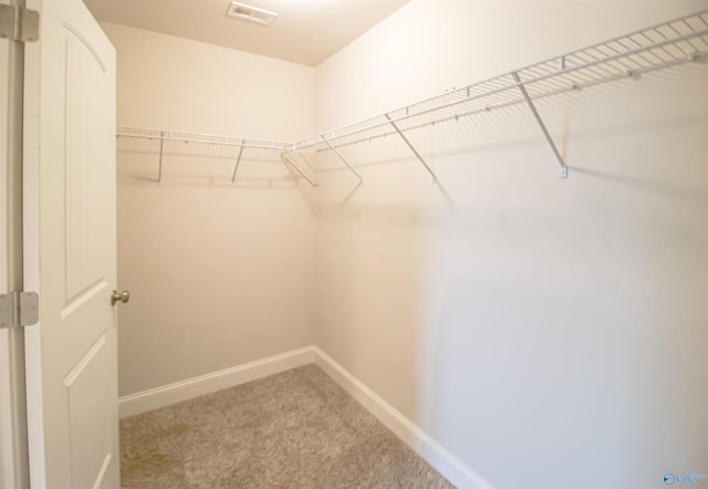 walk in closet with carpet