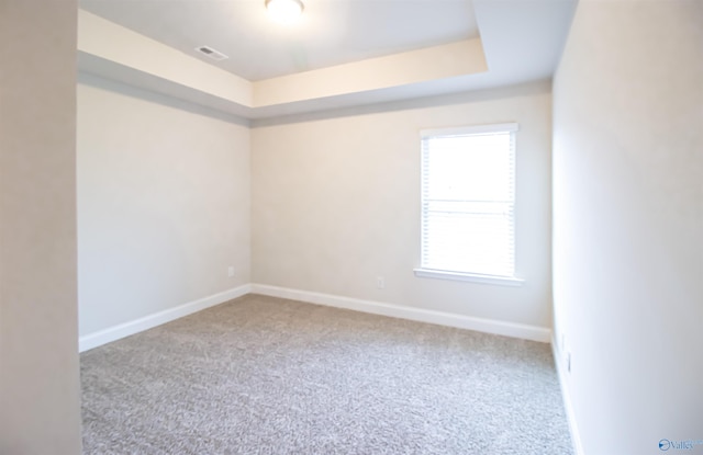 spare room with light carpet and a tray ceiling