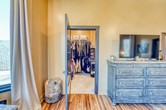 interior space featuring a closet, a spacious closet, and wood finished floors