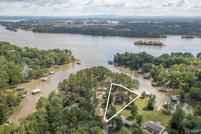 bird's eye view featuring a water view