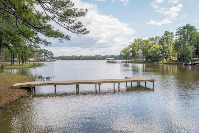 dock area with a water view