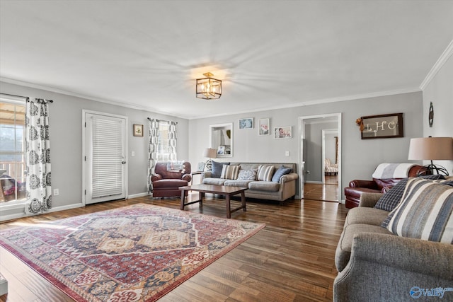 living room featuring crown molding and dark wood-type flooring