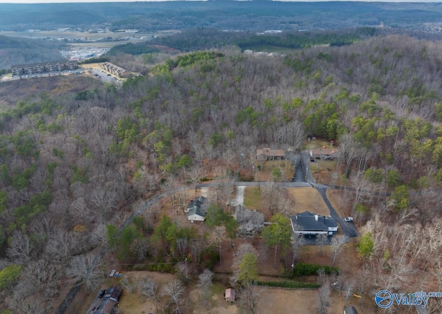 bird's eye view