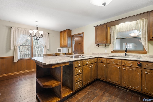 kitchen with black electric cooktop, sink, pendant lighting, and dark hardwood / wood-style flooring