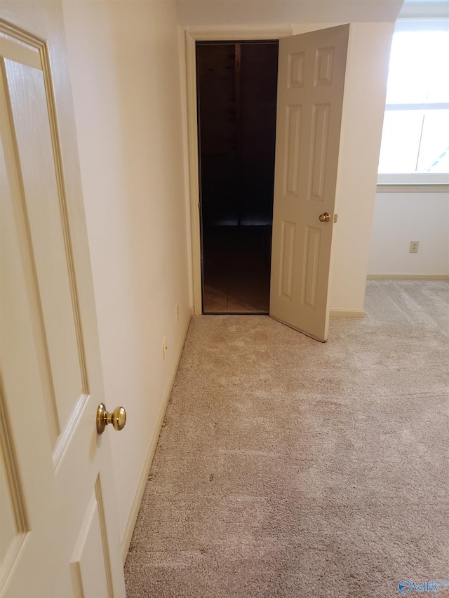 interior space with light carpet and a closet