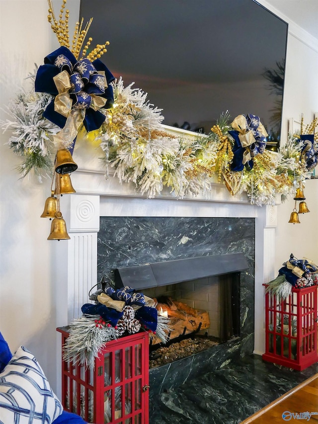 room details with a fireplace and hardwood / wood-style floors