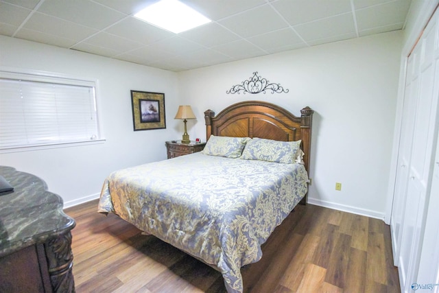 bedroom featuring a paneled ceiling, a closet, and dark wood-type flooring