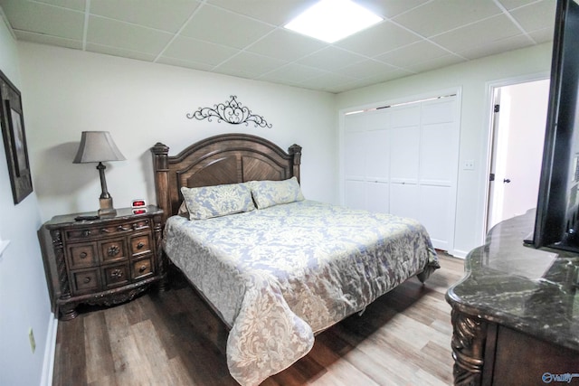 bedroom with hardwood / wood-style floors, a paneled ceiling, and a closet