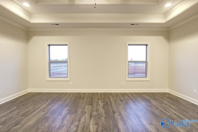 unfurnished room featuring a wealth of natural light, ornamental molding, and a raised ceiling