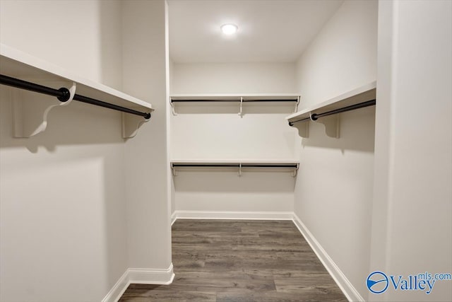 spacious closet with dark hardwood / wood-style floors