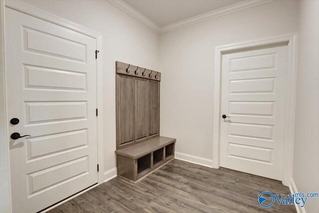 mudroom with crown molding and dark hardwood / wood-style flooring