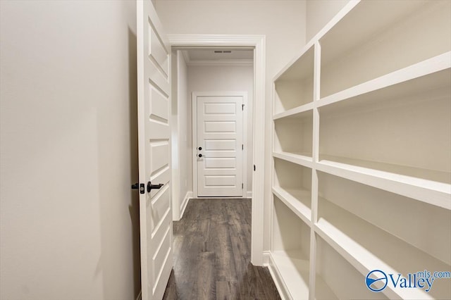 interior space featuring dark hardwood / wood-style flooring