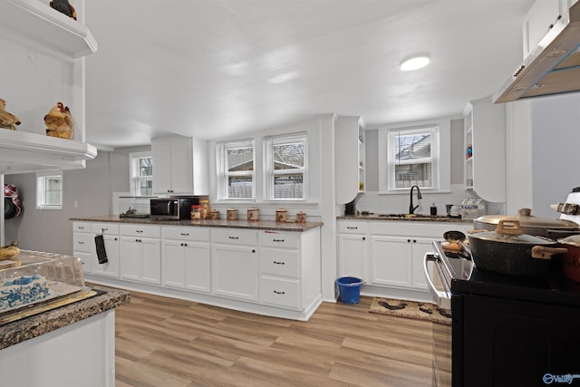 kitchen with light wood finished floors, stainless steel microwave, white cabinets, and a sink