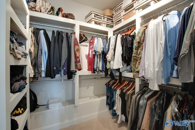 spacious closet with carpet