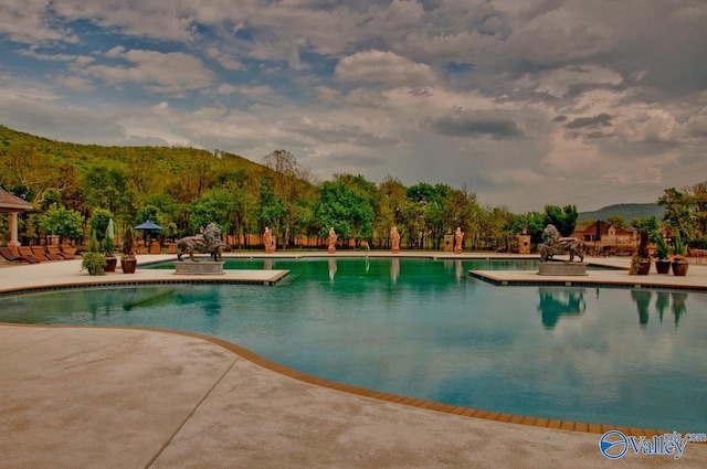 pool with a patio area