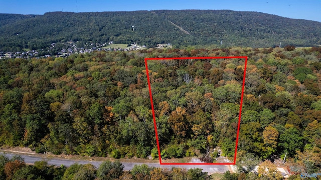 7010 Ridge Crest Rd, Owens Cross Roads, AL 35763