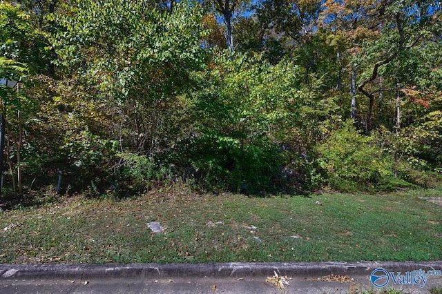 7010 Ridge Crest Rd, Owens Cross Roads, AL 35763