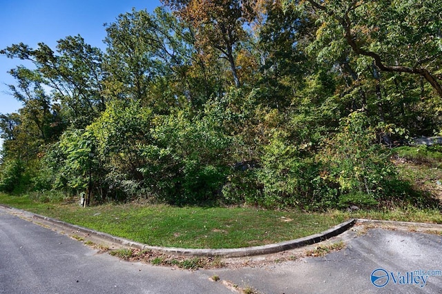 7010 Ridge Crest Rd, Owens Cross Roads, AL 35763